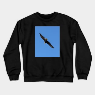 Bald Eagle in Flight, photo Crewneck Sweatshirt